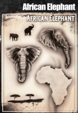 TP African elephant